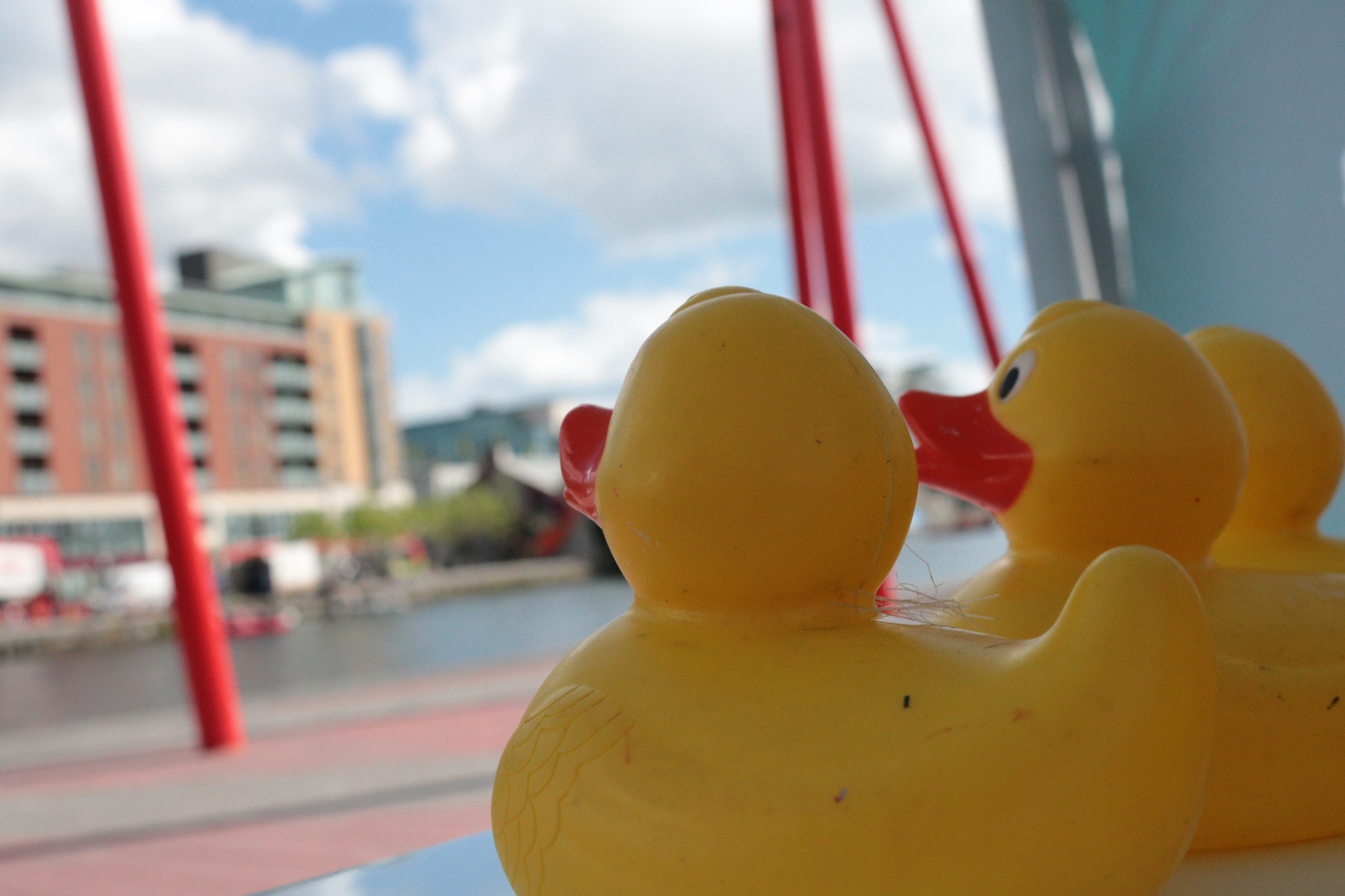 Yellow rubber ducks overlooking a waterfront cityscape with colorful buildings and red poles in the background.